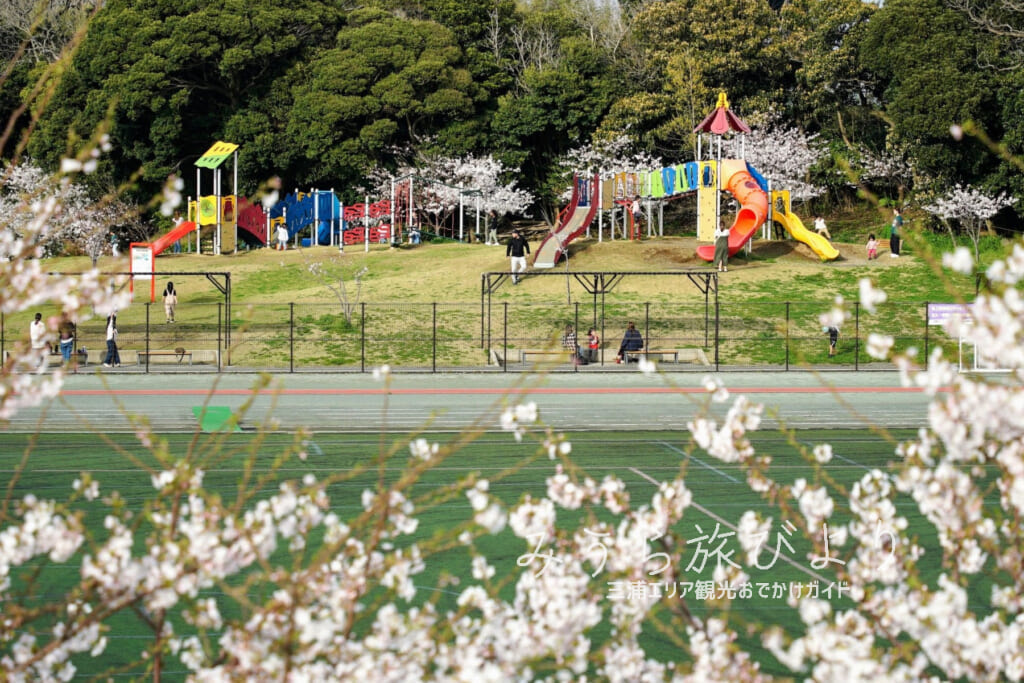潮風スポーツ公園（三浦スポーツ公園）・林間広場の複合遊具（撮影日：2024.04.07）