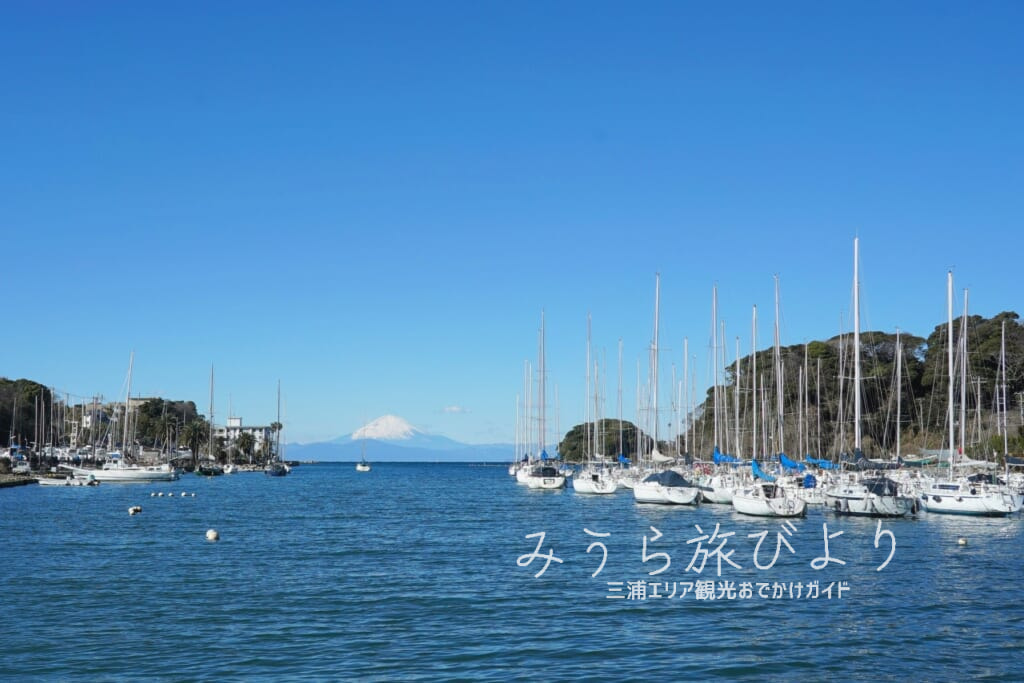 諸磯湾より富士山を望む（撮影日：2025.01.10）